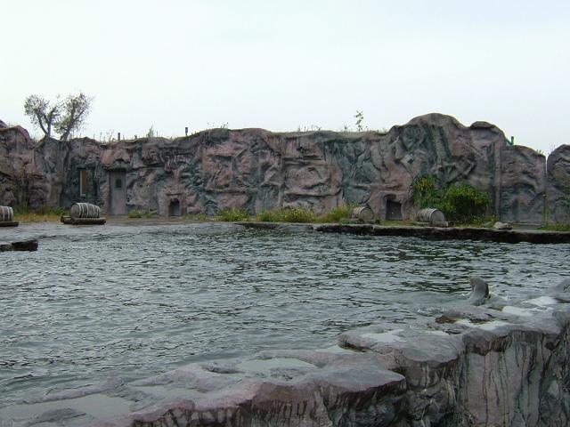 DSCF1552
