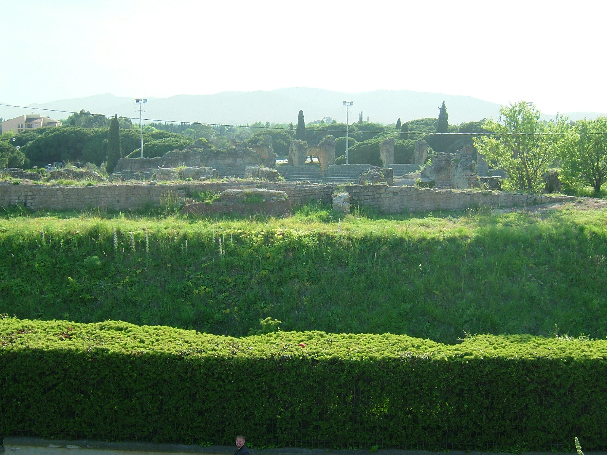 DSCF4341